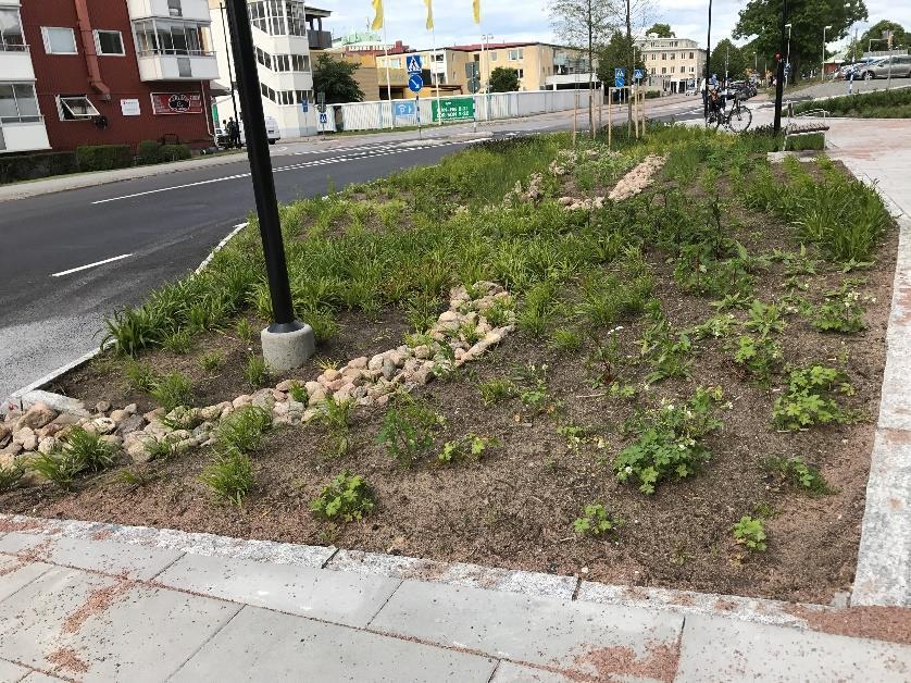fördröjning och rening av vattnet. Fråga därför gärna verksamhetsutövaren vad anläggningens primära syfte är.