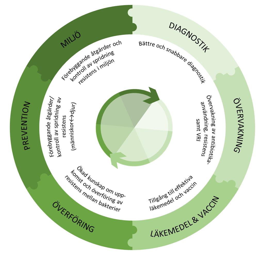 15 Programmets centrala teman och perspektiv Antibiotikaresistens-programmet omfattar sex teman och sex återkommande perspektiv som ska bidra till att adressera de utmaningar och kunskapsbehov som