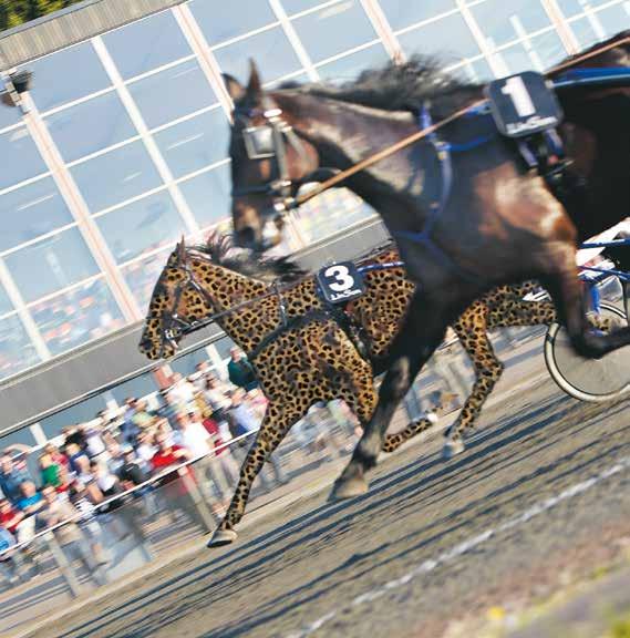 SSPRINTER SPRINTERMÄSTAREN & 7 JULI SPRINTERMÄSTAREN JULI Dags att boka in sommarens meeting!