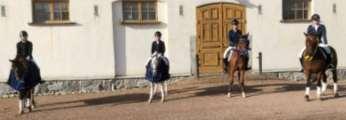 DM - DRESSYR DM i dressyr för ponny och häst genomfördes den 22 september på utebanan mellan stallarna på Strömsholm. Arrangör var Strömsholms Ridsportförening.