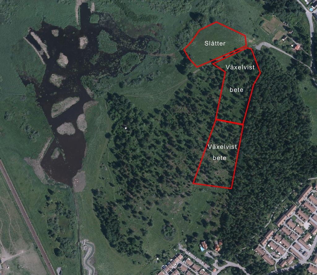 Figur 12. Områden i Gredelby hagar som föreslås årligen slåttras och växelvis lämnas obetat för att gynna insektslivet.