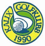 Verksamhetsplan för Kalix Golfklubb år 2013 Inledning Verksamhetsplanen är det dokument som skall visa våra verksamhetsmål samt planerna för hur vi ska nå dessa mål.