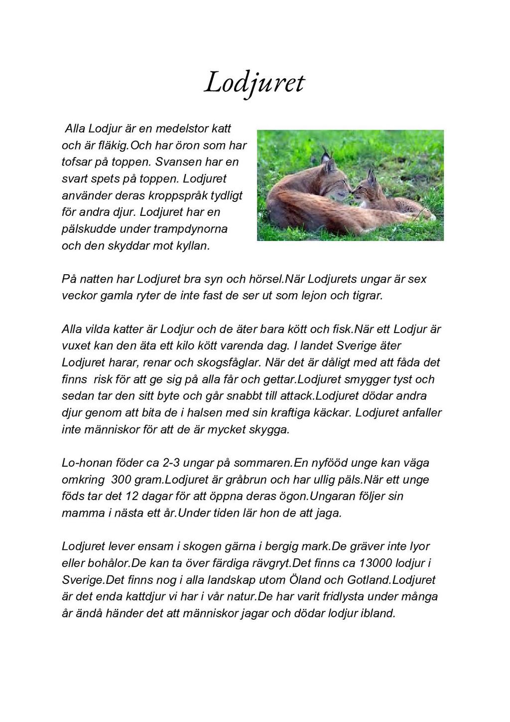 Elevtexter från år 3 Svenska som andraspråk Klarade inte DLS läsförståelseprov för år 2 i augusti Fick
