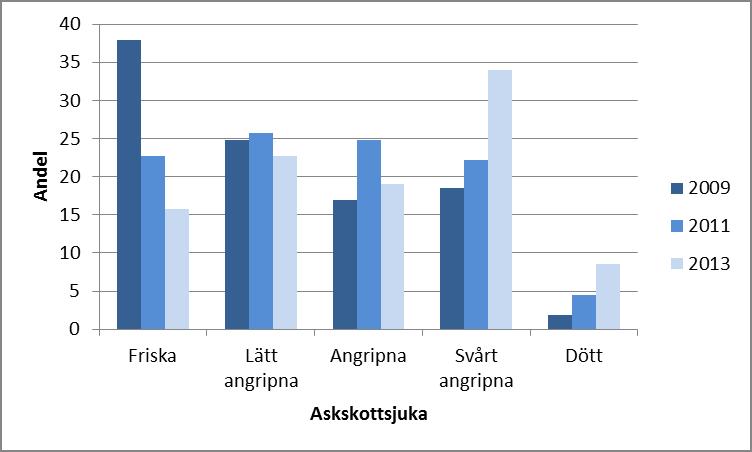 Figur 6 Medelvärde för askskottsjukeklassning har ökat mellan åren där 0 är helt frisk, 1 är lätt angripen, 2 är angripet, 3 är svårt angripet och 4 är helt död.