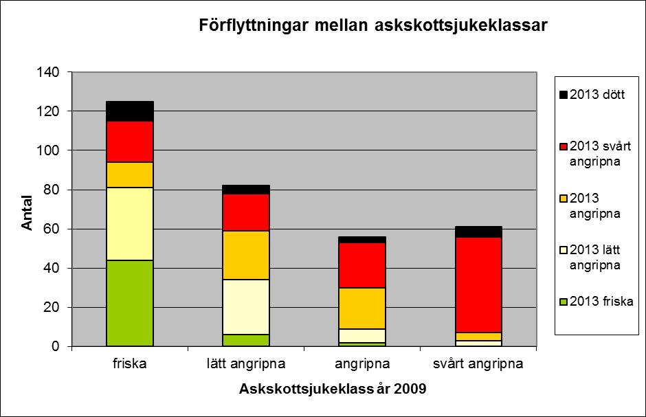 Det var också intressant att se hur träden har flyttat sig mellan askskottsjukeklasserna under de fyra åren sedan den första inventeringen gjordes (figur 8).