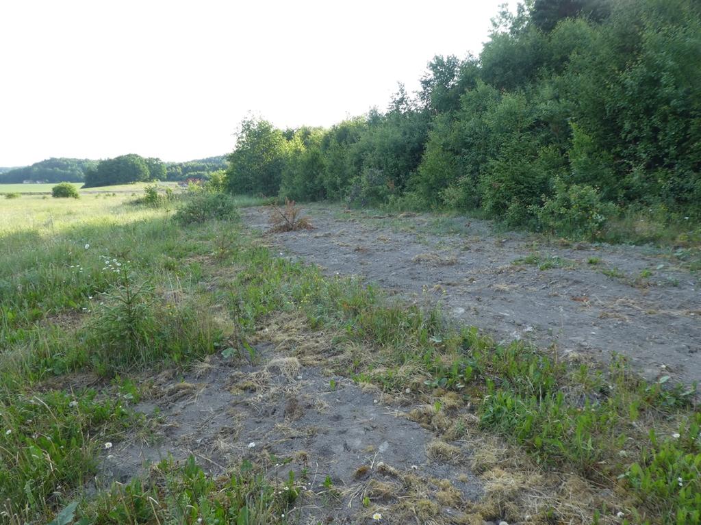 Redovisning av naturvärdesobjekt Objekt-ID: 1 Naturvärdesbedömning: Påtagligt naturvärde - naturvärdesklass 3 Dominerande naturtyp: Äng och betesmark Biotoper: Åker i träda Beskrivning: Åkermark som