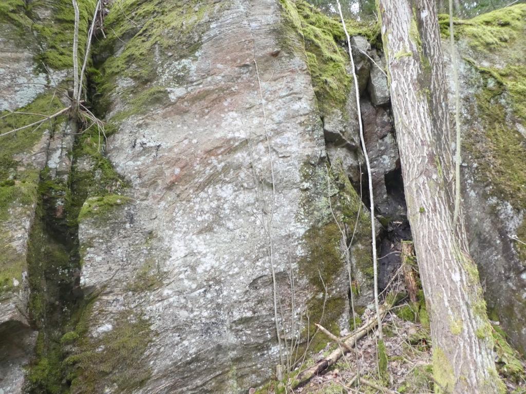 Objekt-ID: 5 Naturvärdesbedömning: Visst naturvärde - naturvärdesklass 4 Dominerande naturtyp: Berg och sten Biotoper: Silikatbrant Beskrivning: Mindre, västvänd silikatbrant, väl beskuggad och