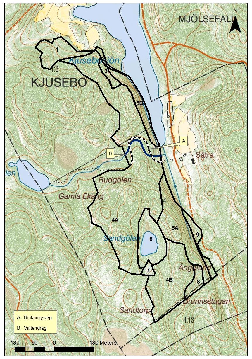 och 4B), förkastningsbranten (område 5A och 5B), en tallrismosse kring Sandgölen (område 6) och ett hygge (område 7), planterat