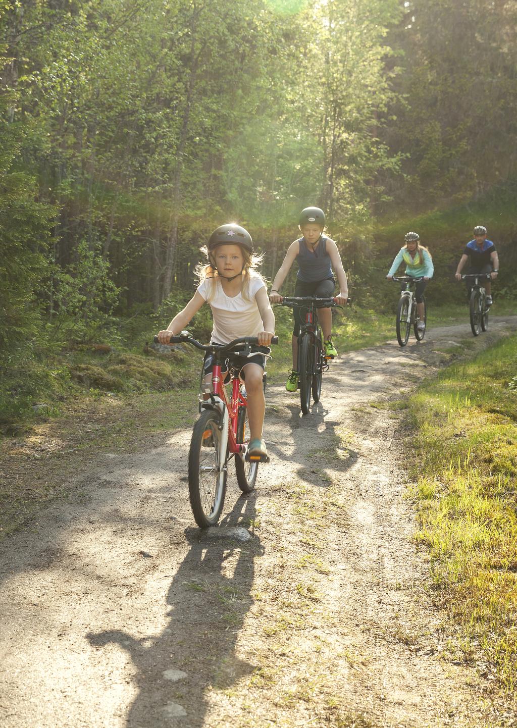 Landstingets vision År 2020 har Västerbotten