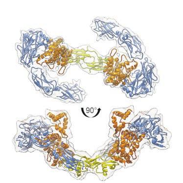 16 ScLfeLab and AstraZeneca use Unravelng molecular detals of cell sgnalng could help develop new therapeutcs.