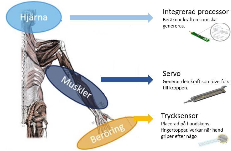 Schematisk översikt av SEM Källor: Bioservo, Carlsquare Ironhand - industriell utveckling Den senaste versionen av Ironhand är precis som sina föregångare baserat på SEM tekniken.