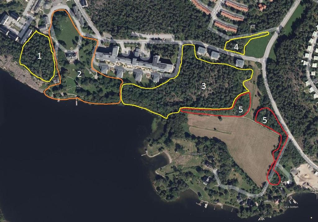 3 RESULTAT AV INVENTERINGEN Sex delområden med naturvärden avgränsades inom inventeringsområdet, se Figur 2 och 3 nedan.