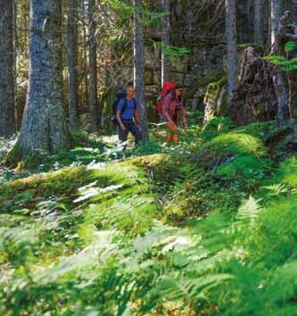 Om du vill vandra åt andra hållet är leden väl markerad från Äskja. Den följer gamla stigar över Ullångersfjället. Under vandringen passerar du gamla fäbodvallar och får njuta av vackra vyer.