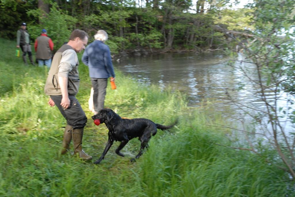 Apportera på land, i vatten och släpspår. Hunden skall vara grunddresserad. Instruktör: Carl von Essen. Plats: Öster Malma, Allén, gräsplanen och hundbadplatsen. Tider: Klockan 18.00. Maj 7-14-21-28.