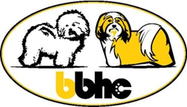2019-04-20 Styrelsen för Bichon Bolognese &