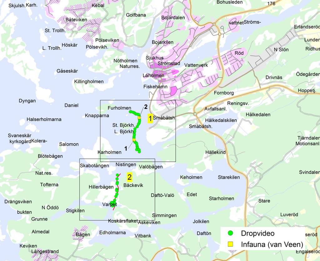 Inledning Medins Havs- och Vattenkonsulter AB har tidigare fått i uppdrag av Ramböll att utföra en marinbiologisk kartering längs planerade VA-sjöledningssträckor utanför Strömstad.