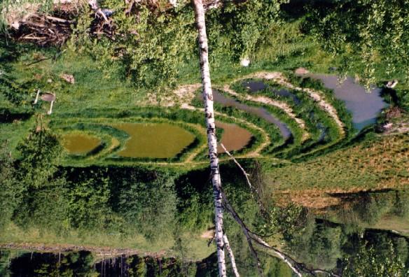 Bergums vattenreningskärr - utvärdering av en 5-årsperiod Vattenreningskärret i Bergum med levé 1