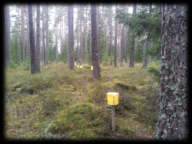 En episod i feb/mars 2018 12 Under februari och mars 2018 deponerades ca 6 kg oorganiskt kväve som krondropp vid