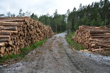 ÖVERVAKNING AV SKOGSMILJÖN