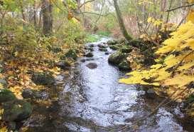 Saxån-Braån - vattenkontroll 2016 Vattensystem: Vattendrag/namn: Provpunktsbeteckning: SAXÅN Välabäcken SAXALLARPS KVA Provdatum: Lokaltyp: Dike 2016-10-26 Naturligt/grävt: naturligt Koordinater x: