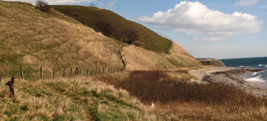 Du vandrar ut genom medeltidsstaden Ystad och vidare ut på Strandpromenaden i Sandskogen, genom strandnära tallskogar, förbi sanddynor och vita stränder, över ett böljande backlandskap med öppna