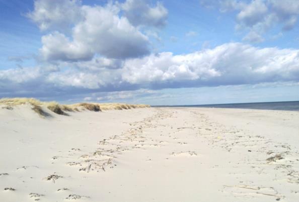 Ale stenar Ystad Foto: Bernard Grilly Dag 2 Ystad Kåseberga Du vandrar ut frånystad via hamnen och vidare utmed strandpromenaden genom Sandskogen.