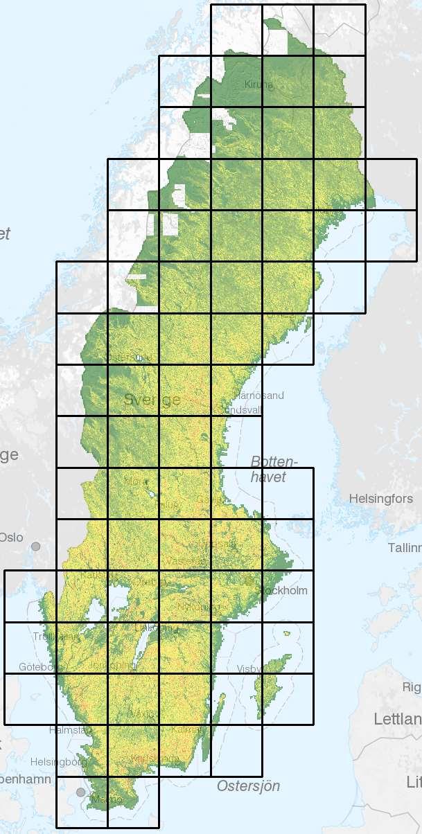 LaserskanningsRutor Ruta IndexRuta t.