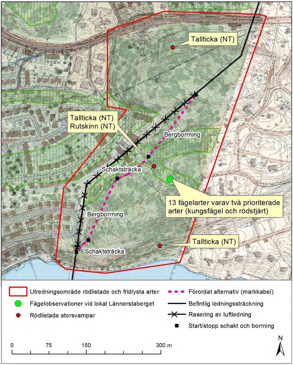 ledningarna. Information om förekomst av arter kan hämtas från Artportalen, någon inventering i fält krävs inte.