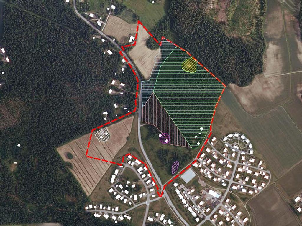 Luontoselvitys - Naturutredningen Ojanvarsilehto Lund invid diket Avosuo, luontoarvoiltaan Metsälain 10 tarkoittama arvokas elinympäristö.