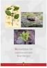 Skötselplan för naturreservatet Klevberget