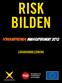 RISK BILDEN. ForskarFredags Massexperiment 2012 LÄRARHANDLEDNING. Vetenskap & Allmänhet