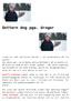 Dottern dog pga. droger