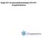 Budget 2017 och planeringsförutsättningar Sverigedemokraterna