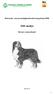 Beteende- och personlighetsbeskrivning hund, BPH 200-analys Berner sennenhund