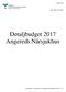 Detaljbudget 2017 Angereds Närsjukhus