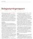 Bolagsstyrningsrapport