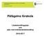 Likabehandlingsplan och plan mot kränkande behandling Påfågelns förskola. Påfågelns förskola. Likabehandlingsplan och plan mot kränkande behandling