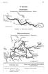 IV distriktet. Järpenlinjeii. Föreståndare: Stationsföreståndaren, Järpen. Östersundslinj erna. Föreståndare: Trafikinspektören, Östersund.