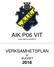 AIK P06 VIT (