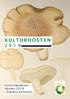K U L T U R H Ö S T E N