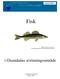 Rapport 2002:2. Fisk. Gös Stizostedion lucioperca Centralförbundet för Fiskerihushållnings bildarkiv. i Oxundaåns avrinningsområde