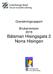 Granskningsrapport. Brukarrevision 2016 Båtsman Hisingsgata 2 Norra Hisingen