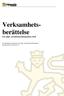 Verksamhetsberättelse