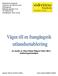 - en studie av Akzo Nobel Nippon Paint AB:s etableringsstrategier