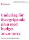 Underlag för övergripande plan med budget