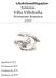 Likabehandlingsplan förskolan Villa Villekulla Storumans kommun 2019