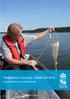 Växtplankton i fyra sjöar i Örebro län 2018