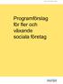 Dnr 012-2007-4248. Programförslag för fler och växande sociala företag