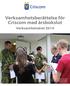 Verksamhetsberättelse för Criscom med årsbokslut