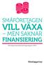 SMÅFÖRETAGEN VILL VÄXA MEN SAKNAR FINANSIERING